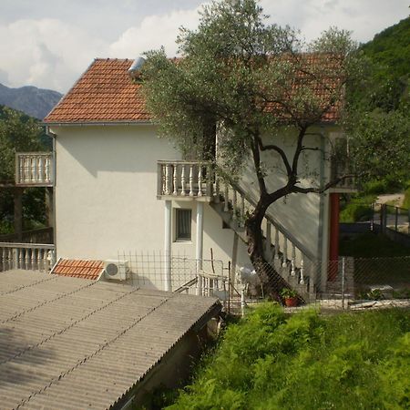 Apartman Irena Tivat Dış mekan fotoğraf