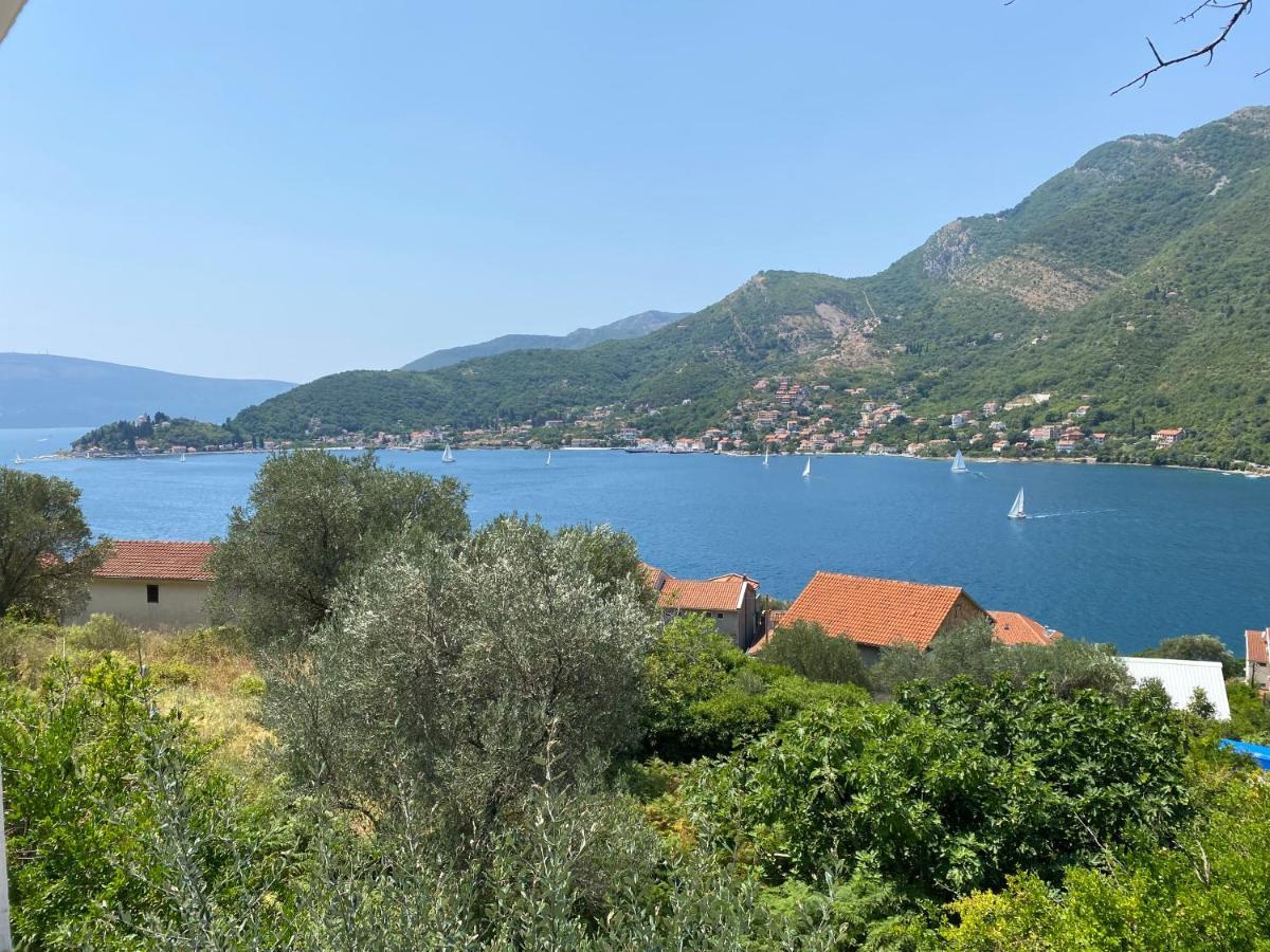 Apartman Irena Tivat Dış mekan fotoğraf