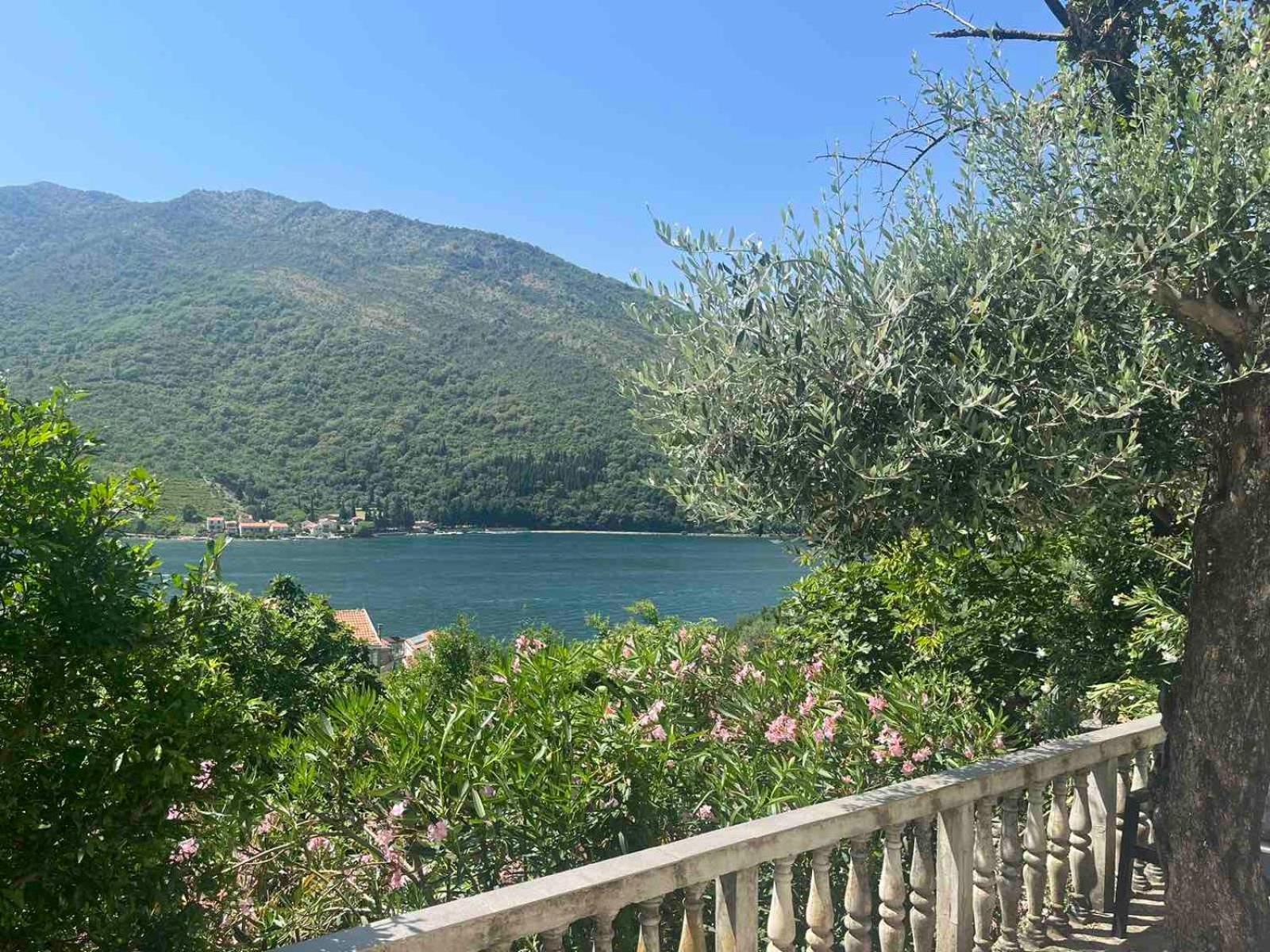 Apartman Irena Tivat Dış mekan fotoğraf